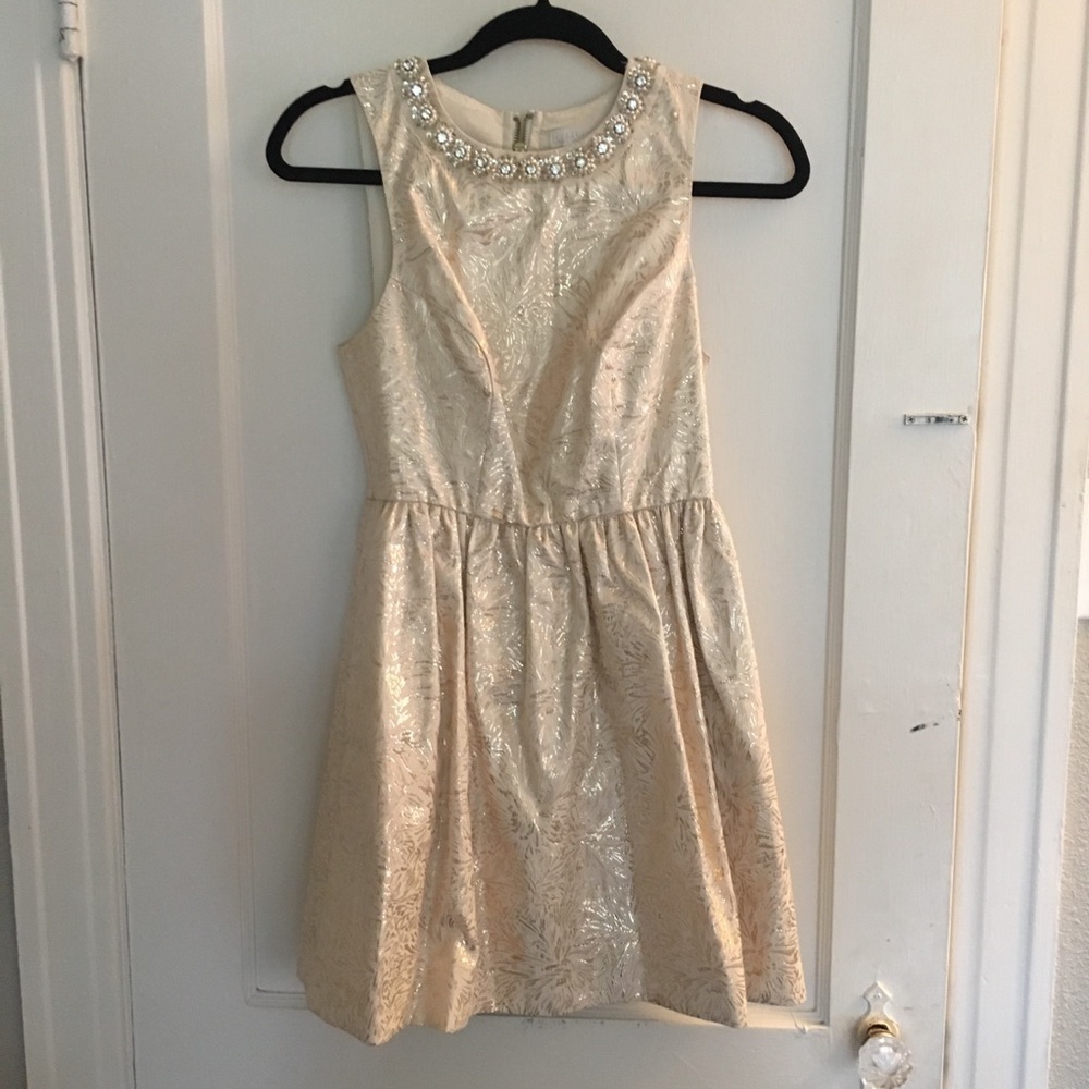 UO Metallic Tapestry Dress​​
